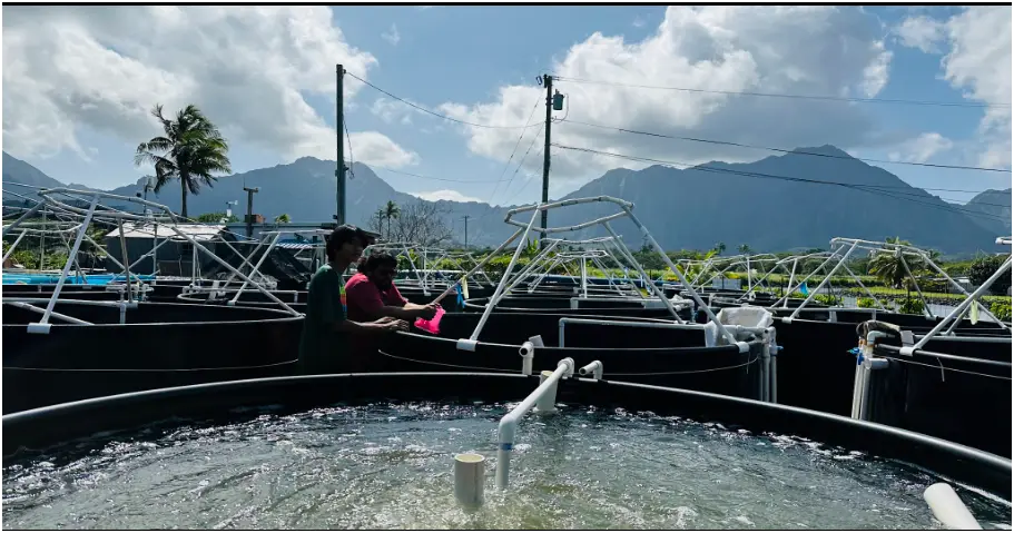 1,000-gallon test tubs used for controlled algae experiments, with mountains behind